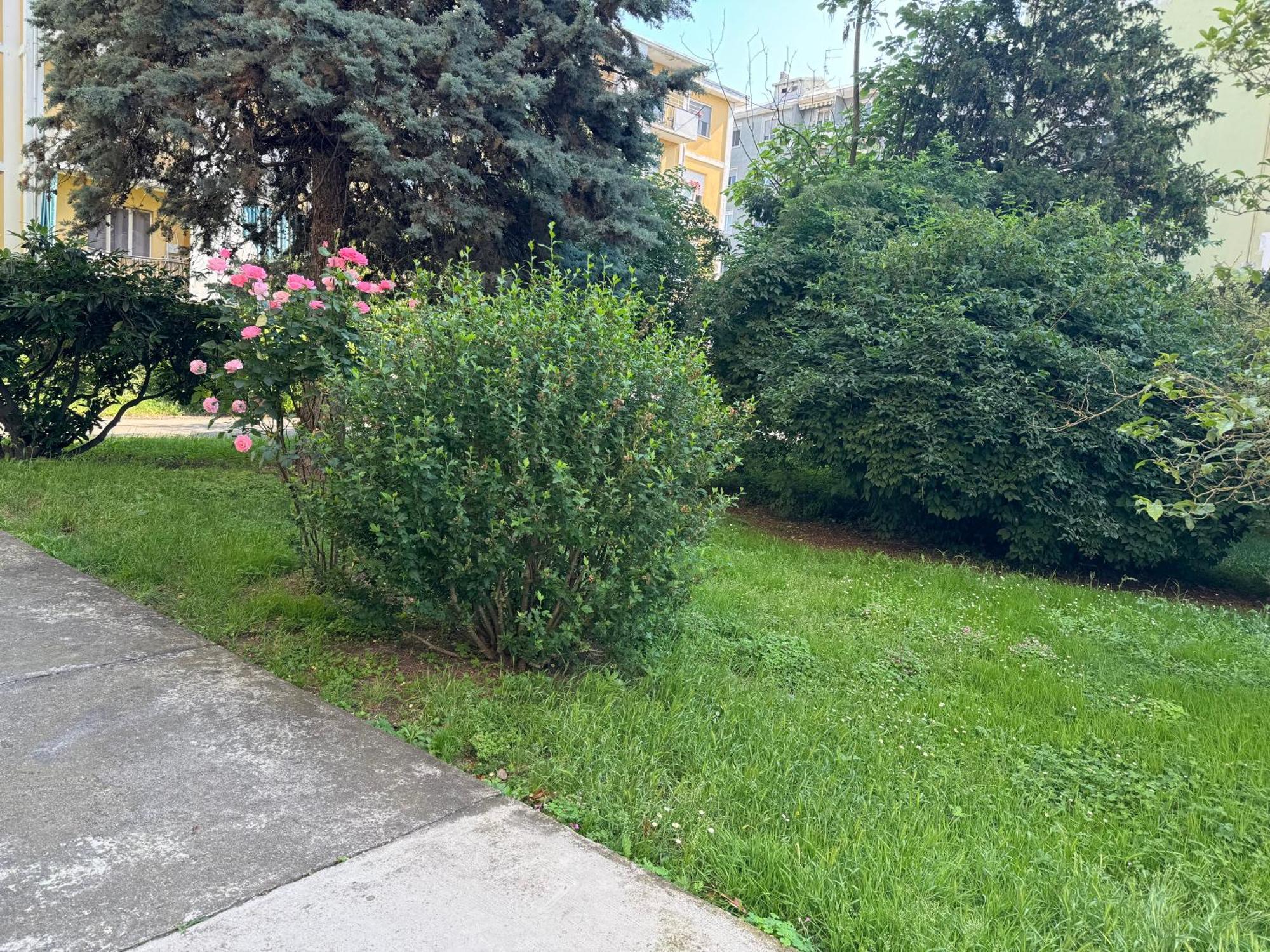 Apartament Casa Grivola 29 Vercelli Zewnętrze zdjęcie